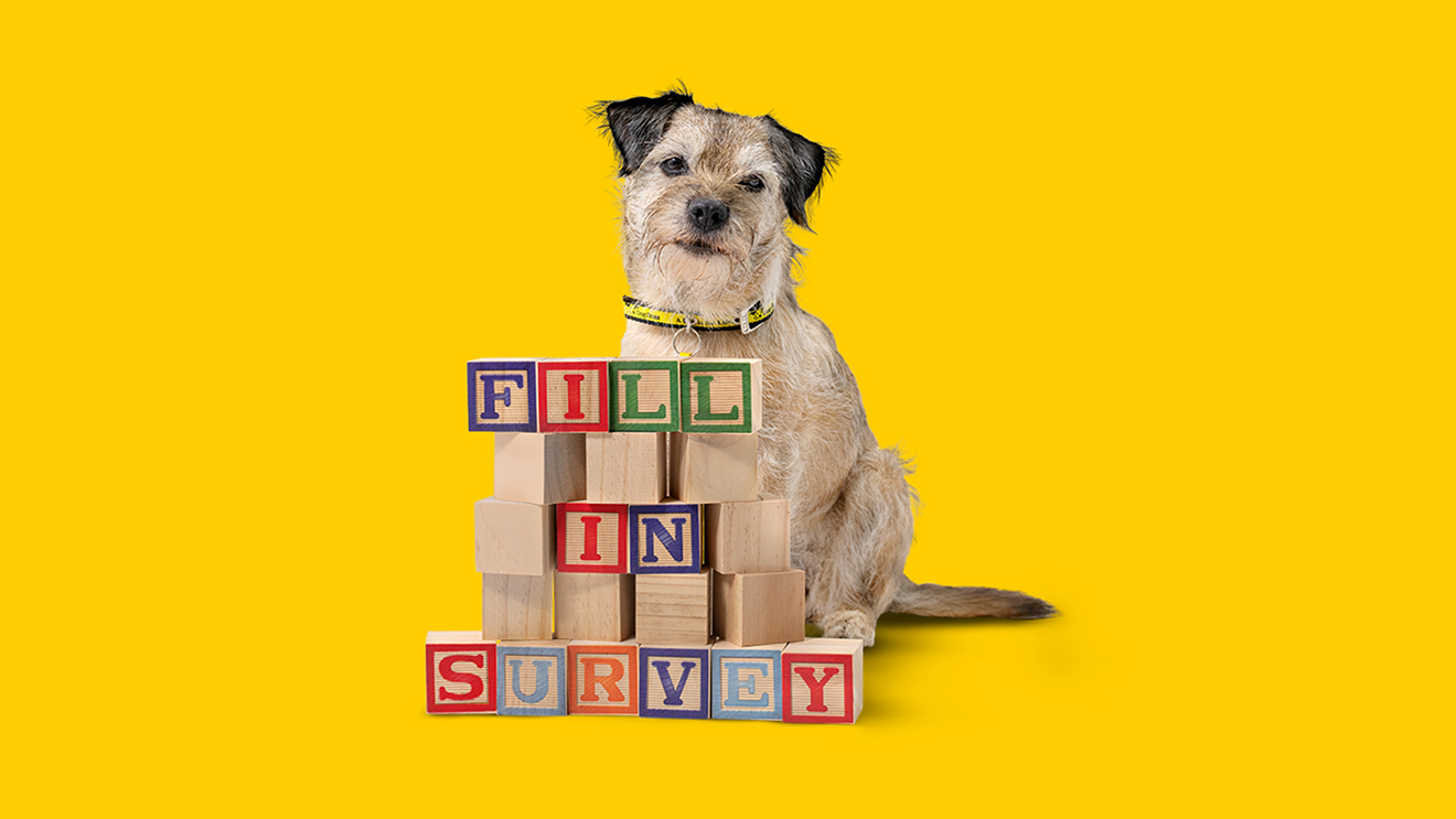 dogs-trust-survey