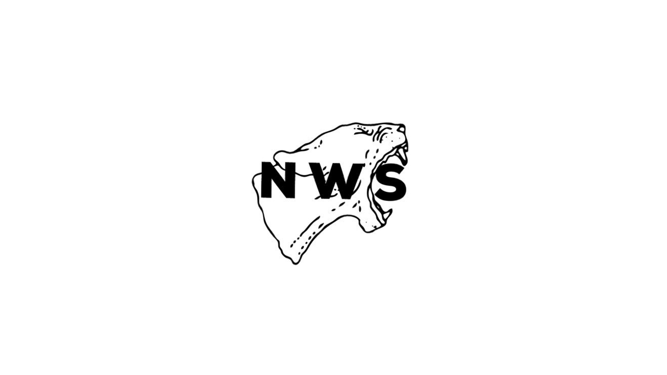 no-white-saviors