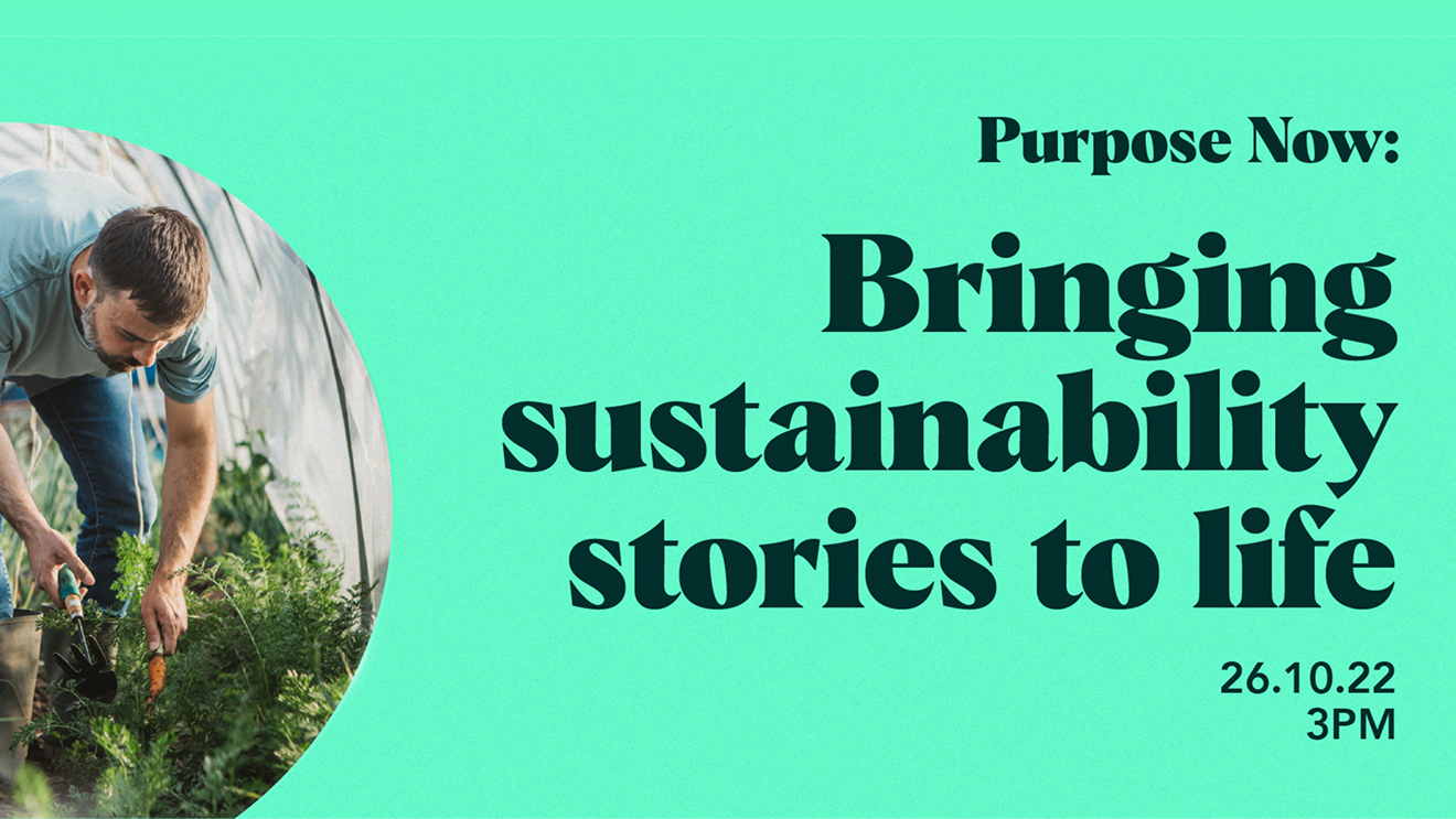 purpose-now-sustainability