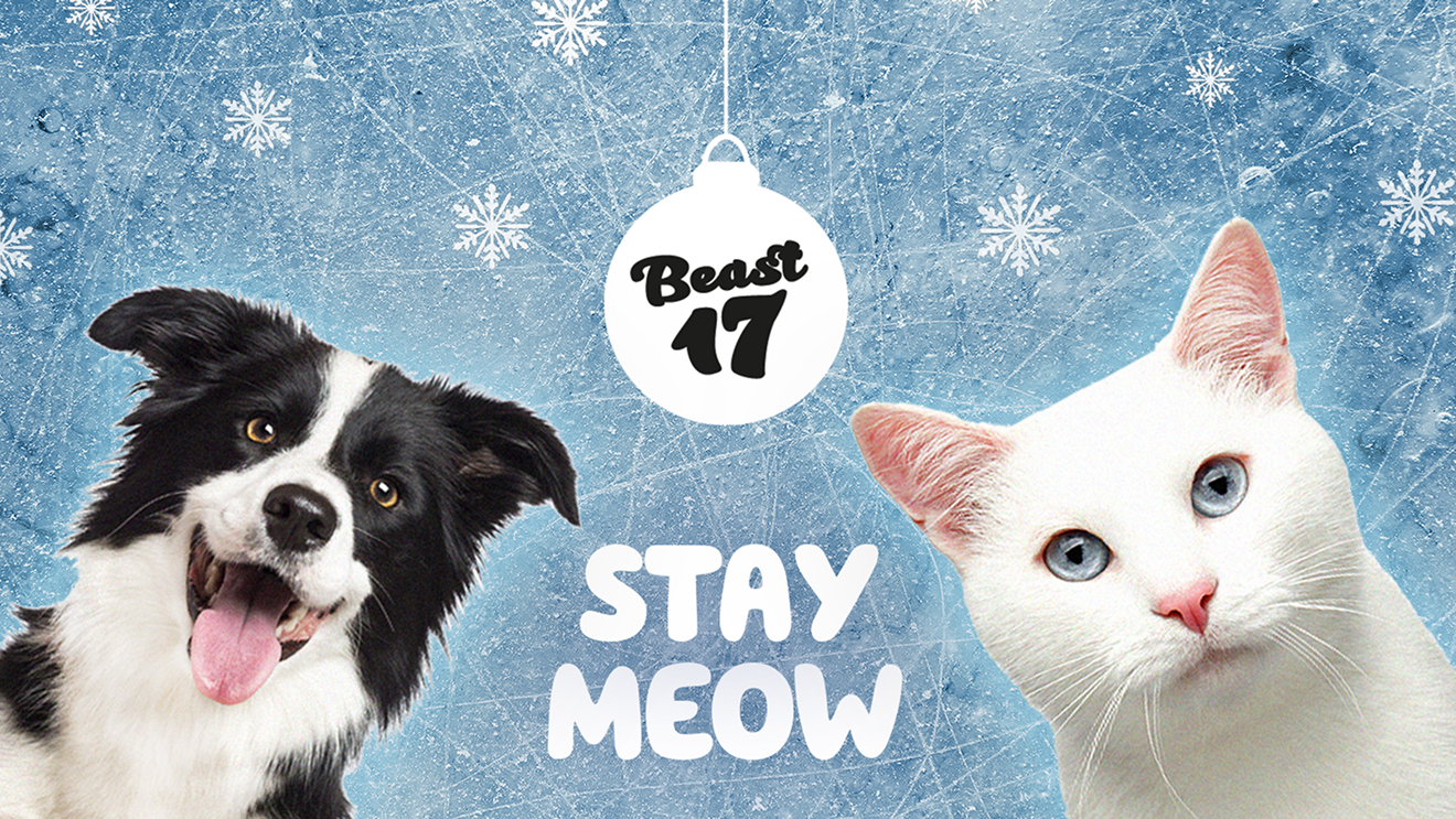 stay-meow