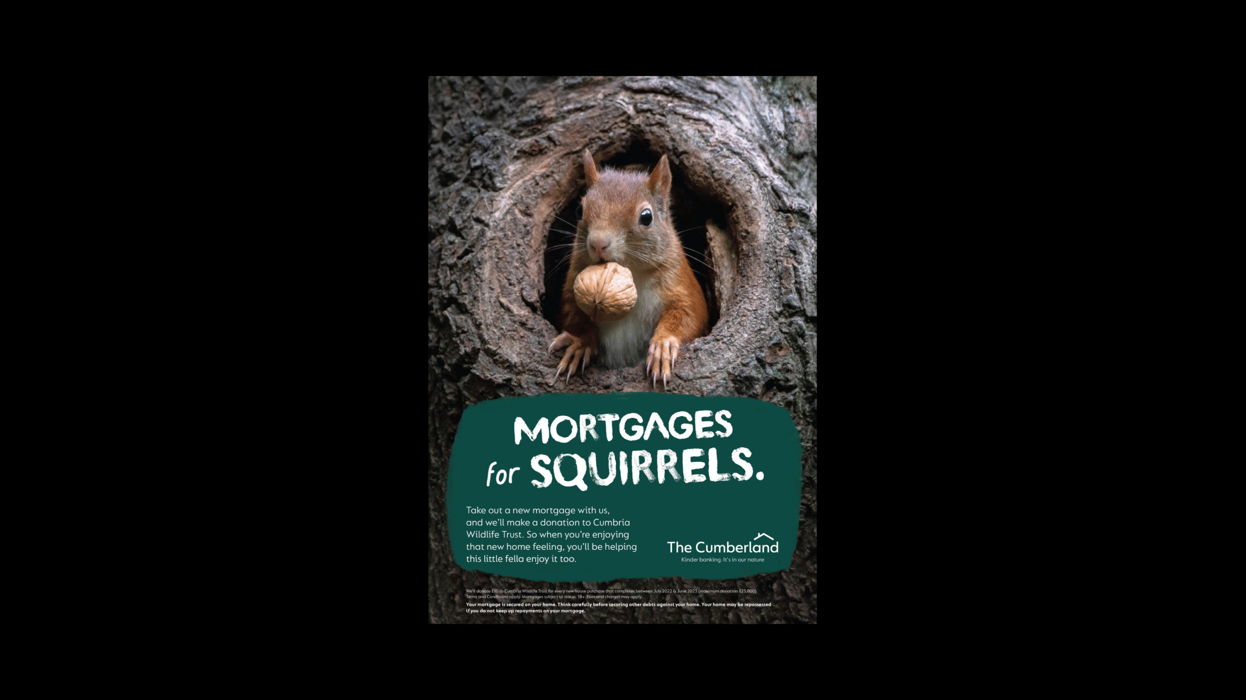A 'mortgages for squirrels' poster for Cumberland Kinder banking