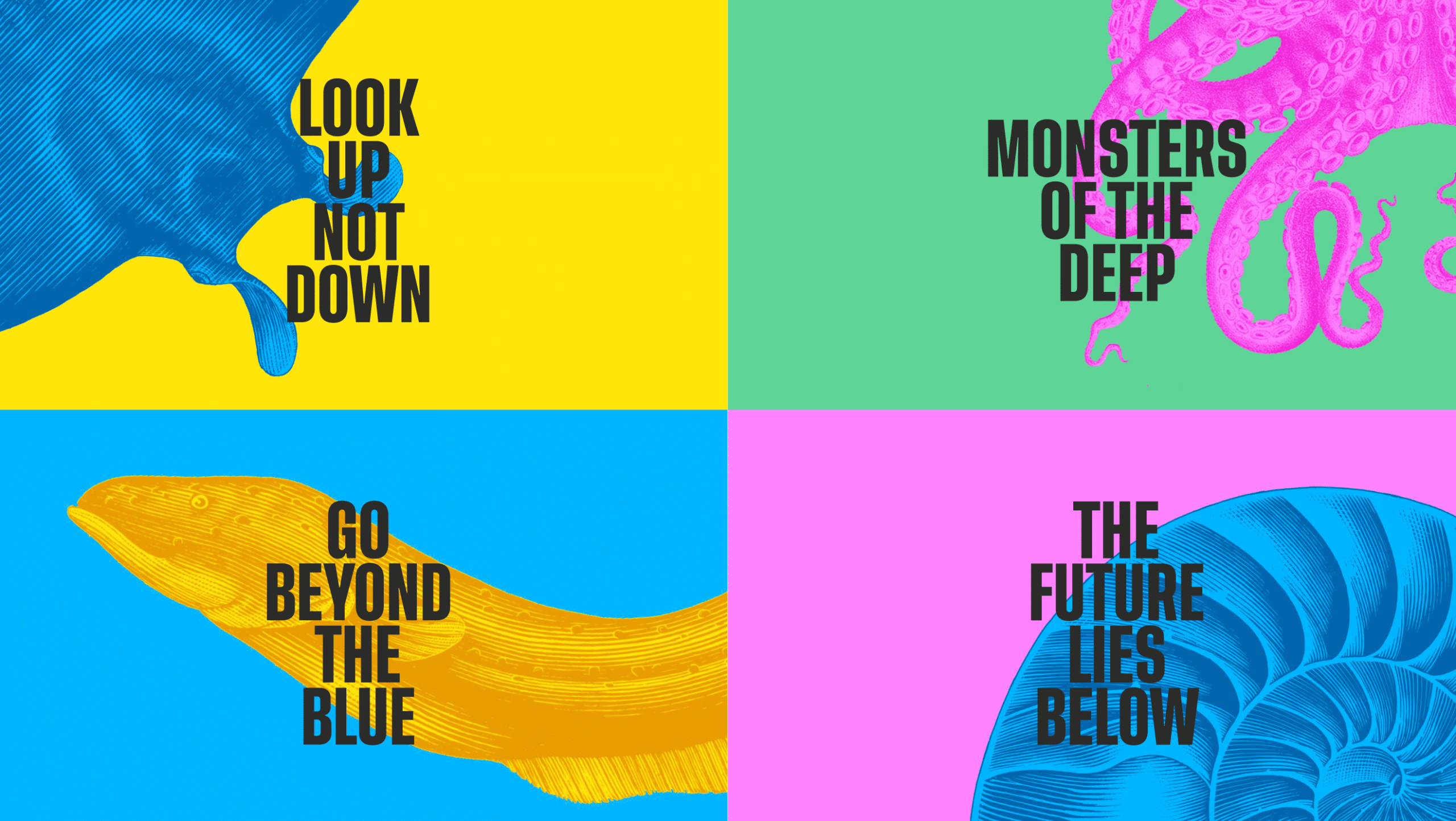 Illustrations for NOC rebrand